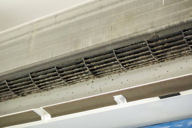 Best Commercial Air Duct Cleaning  in Altamont, OR